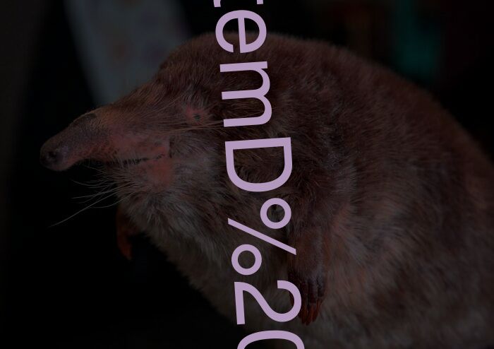 SystemD This